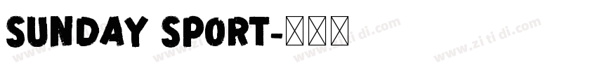 Sunday Sport字体转换